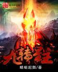 九转星陨诀