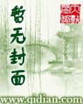 上层精灵胸针