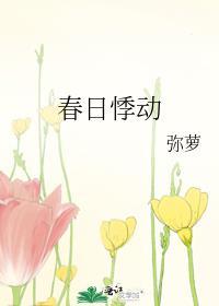 春日什么