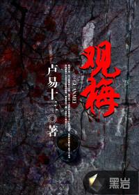 观梅有感古诗解析
