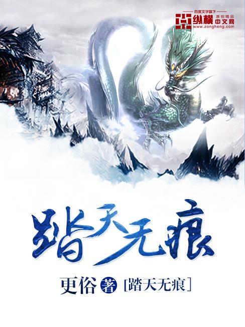 踏天无痕百度TXT