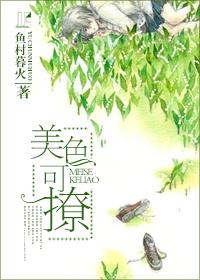 美色可撩鱼村作者暮火