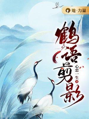 鹤 视频