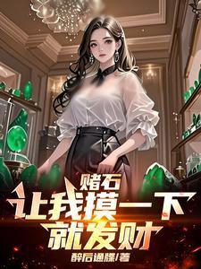 赌石摸宝