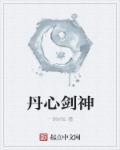 剑武丹心