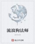 为什么流浪狗一直跟着我