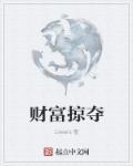 财富掠夺是什么