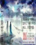 异世之三国再起