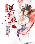 纨绔妖妃至强驭兽师