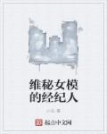维密签约模特价格