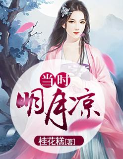当时明月在