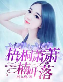 梧桐叶上潇潇雨