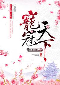 宠冠狗粮怎么样