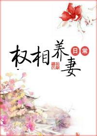 权相养妻日常讲的什么故事