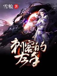 刺客的对手是什么
