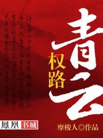 权路青云免费阅读