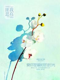 爱你是最好的时光在线观看