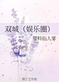 双城啥意思
